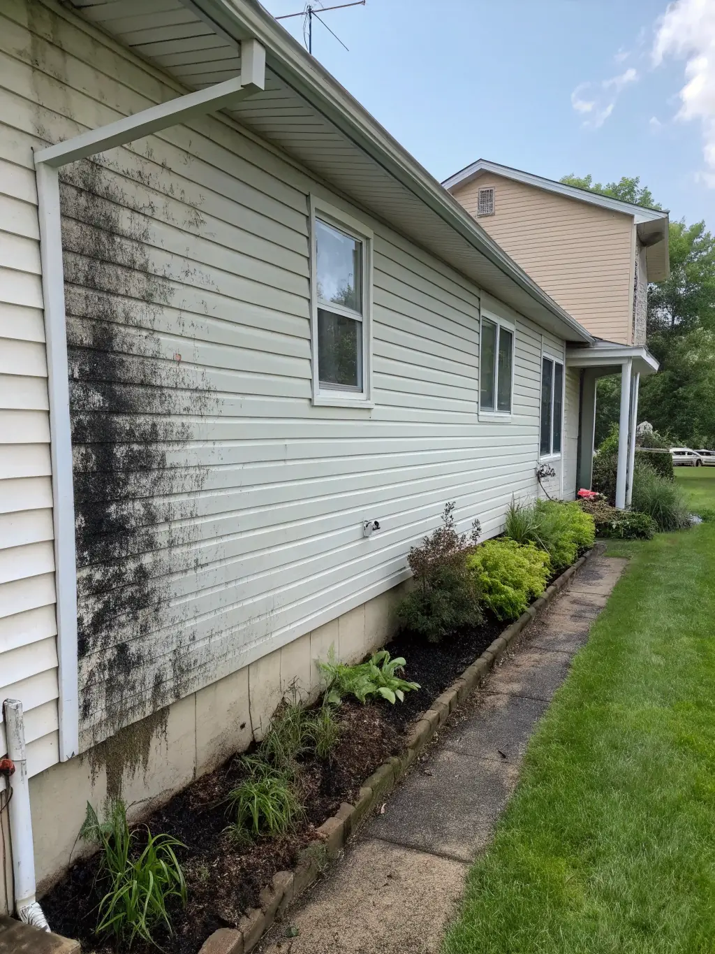A before-and-after image showing the treatment of algae and organic growth on a wall or surface. The 'after' side should be free of any visible organic growth.